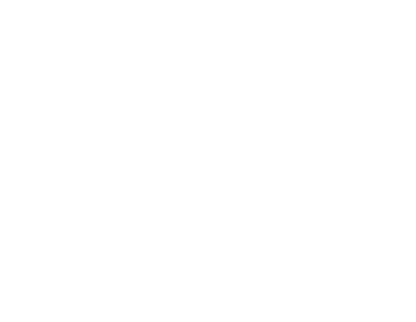 Polar King Mobile Logo