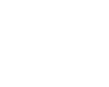 Polar Leasing Logo